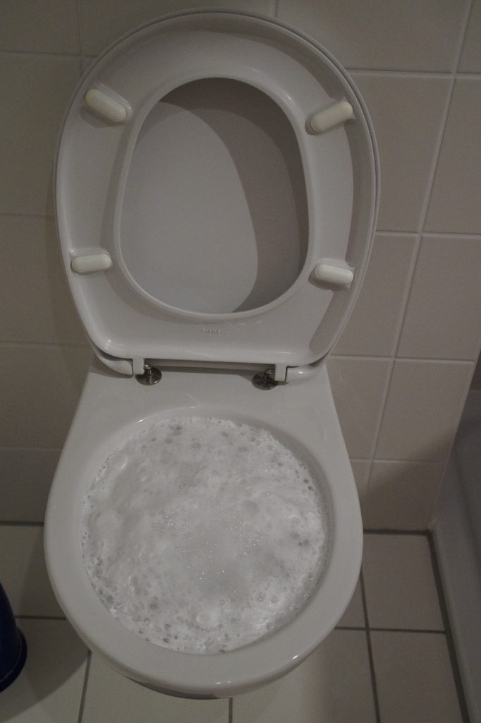 toilet, loo, wc
