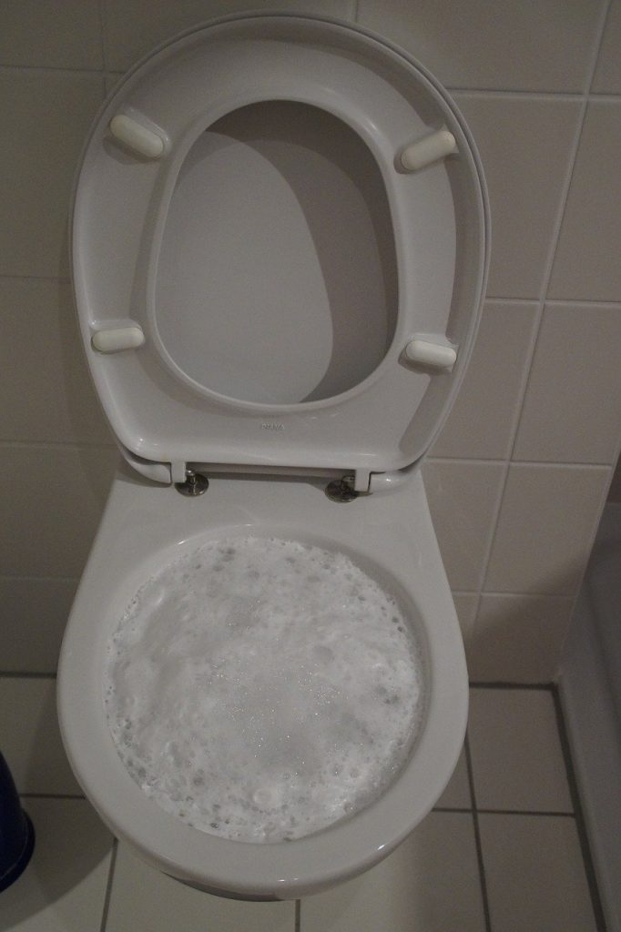 toilet, loo, wc